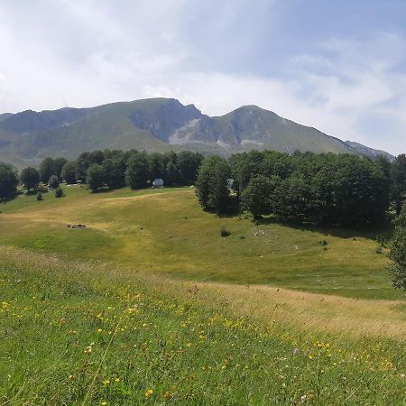 Durmitorski Konak Žabljak Buitenkant foto
