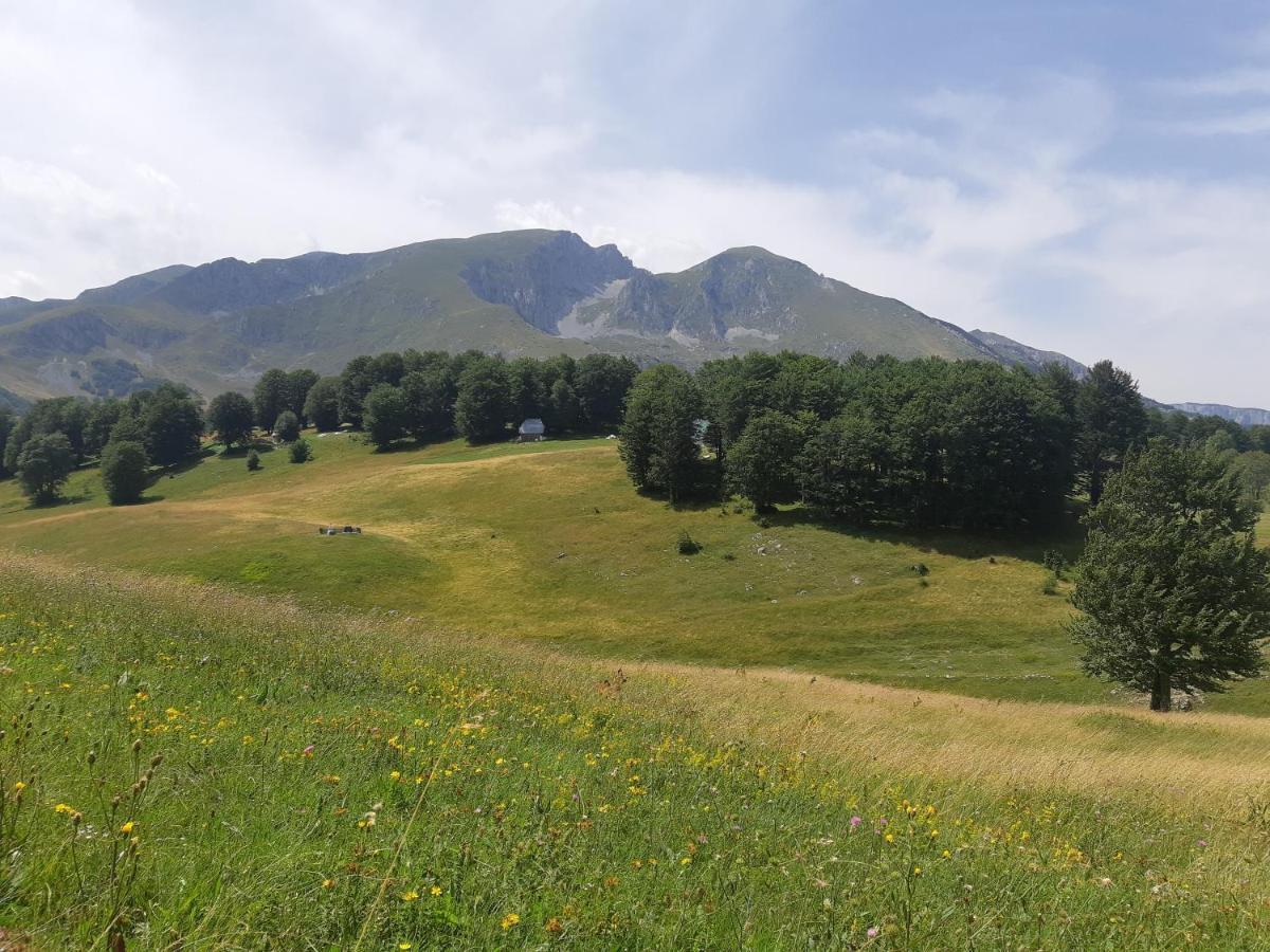 Durmitorski Konak Žabljak Buitenkant foto